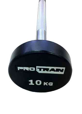 Ряд из фиксированных штанг PROTRAIN PU-FB 10-60 кг