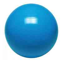 Мяч гимнастический надувной, фитбол Protrain RJ2001-55